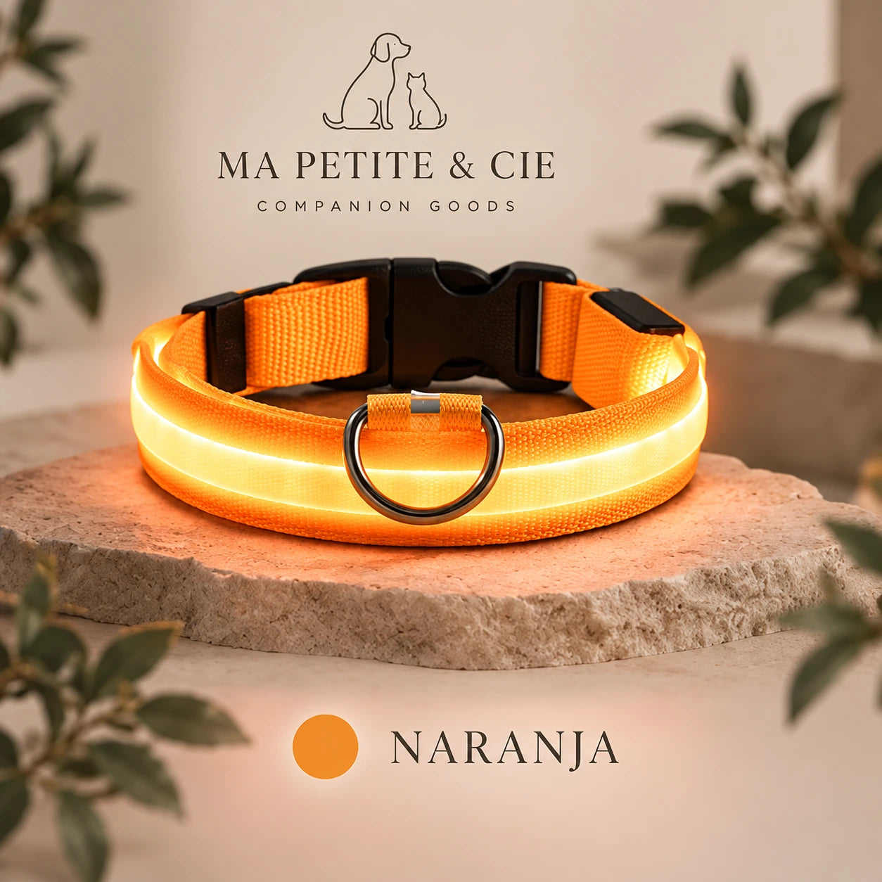 Collar Luminoso LED Recargable para Perros | Ma Petite & Cie™