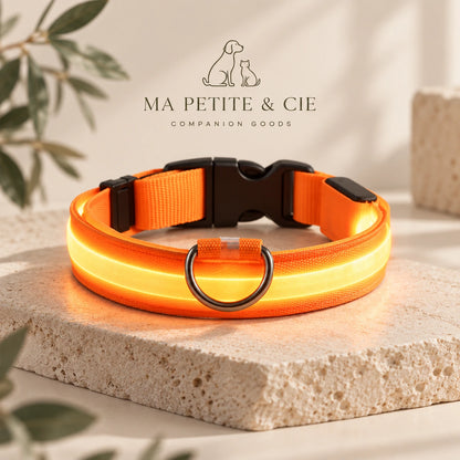 Collar Luminoso LED Recargable para Perros | Ma Petite & Cie™
