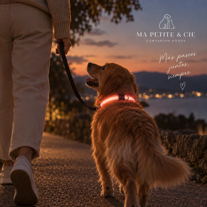 Collar Luminoso LED Recargable para Perros | Ma Petite & Cie™