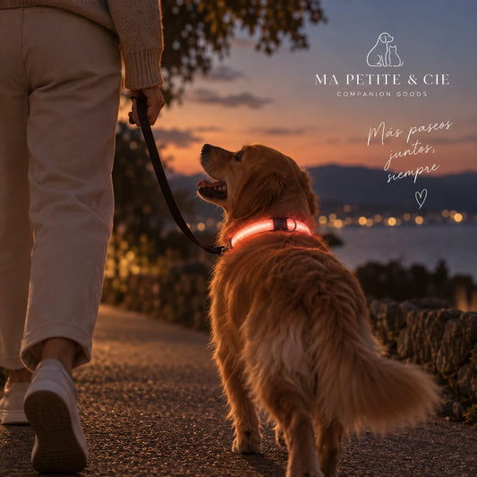 Collar Luminoso LED Recargable para Perros | Ma Petite & Cie™