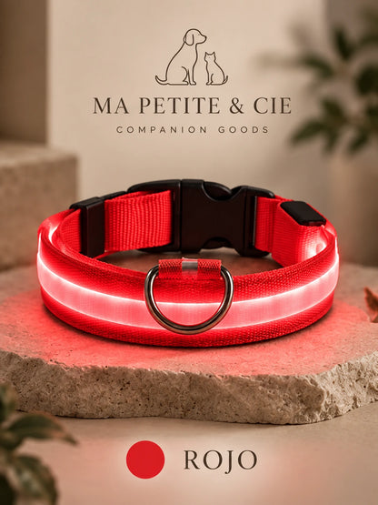Collar Luminoso LED Recargable para Perros | Ma Petite & Cie™