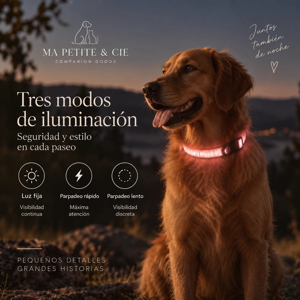 Collar Luminoso LED Recargable para Perros | Ma Petite & Cie™