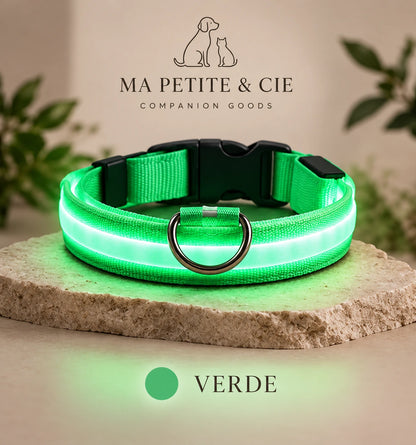 Collar Luminoso LED Recargable para Perros | Ma Petite & Cie™