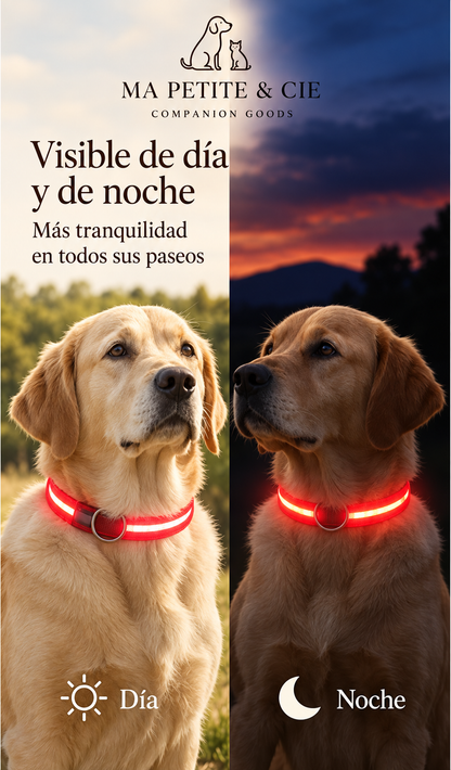 Collar Luminoso LED Recargable para Perros | Ma Petite & Cie™
